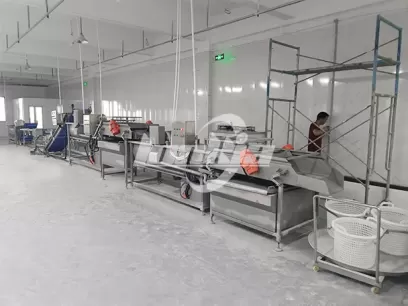 Empresa polaca de procesamiento de ensaladas mejora la eficiencia con la línea de lavado y corte de vegetales LONKIA