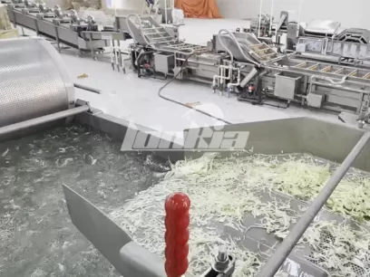Empresa de procesamiento de vegetales en Jordania mejora la eficiencia de producción con la línea de procesamiento de ensaladas LONKIA